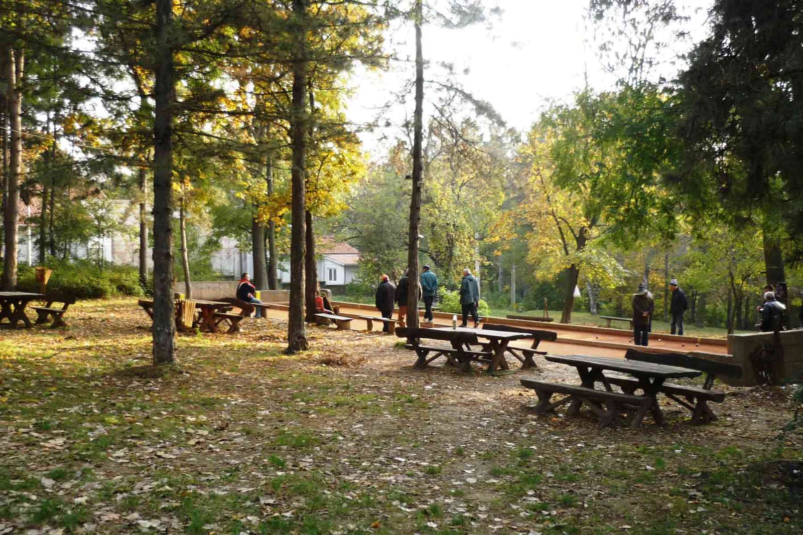 Zvezdara Forest, Forest Park, Zvezdara, Belgrade