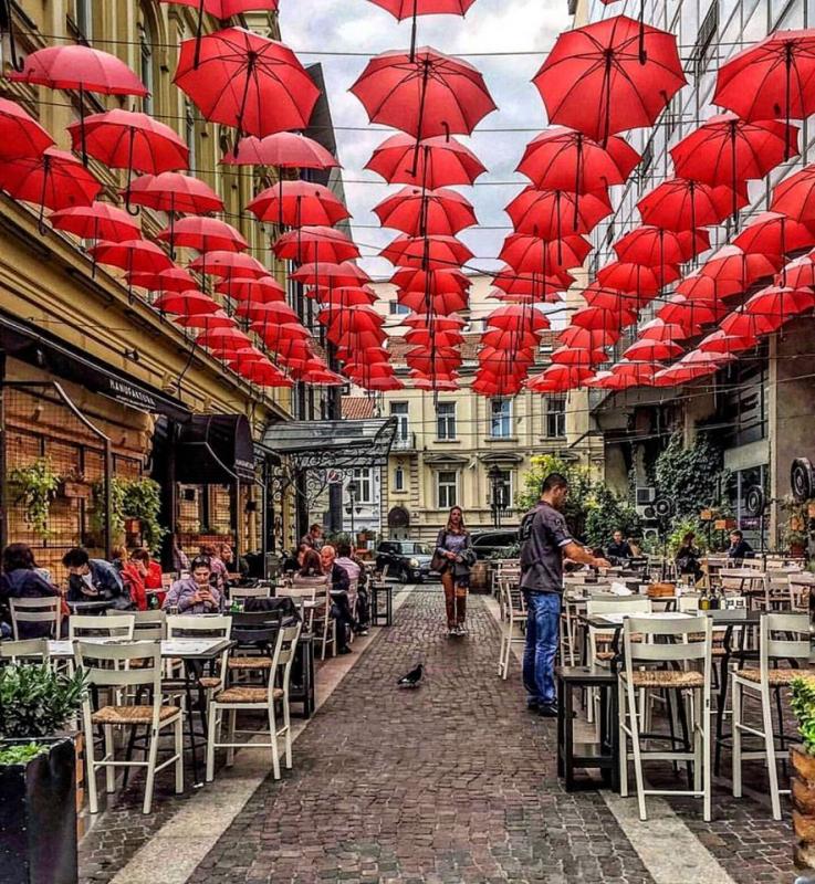 Manufaktura, Cafe · Garden, Stari Grad, Belgrade
