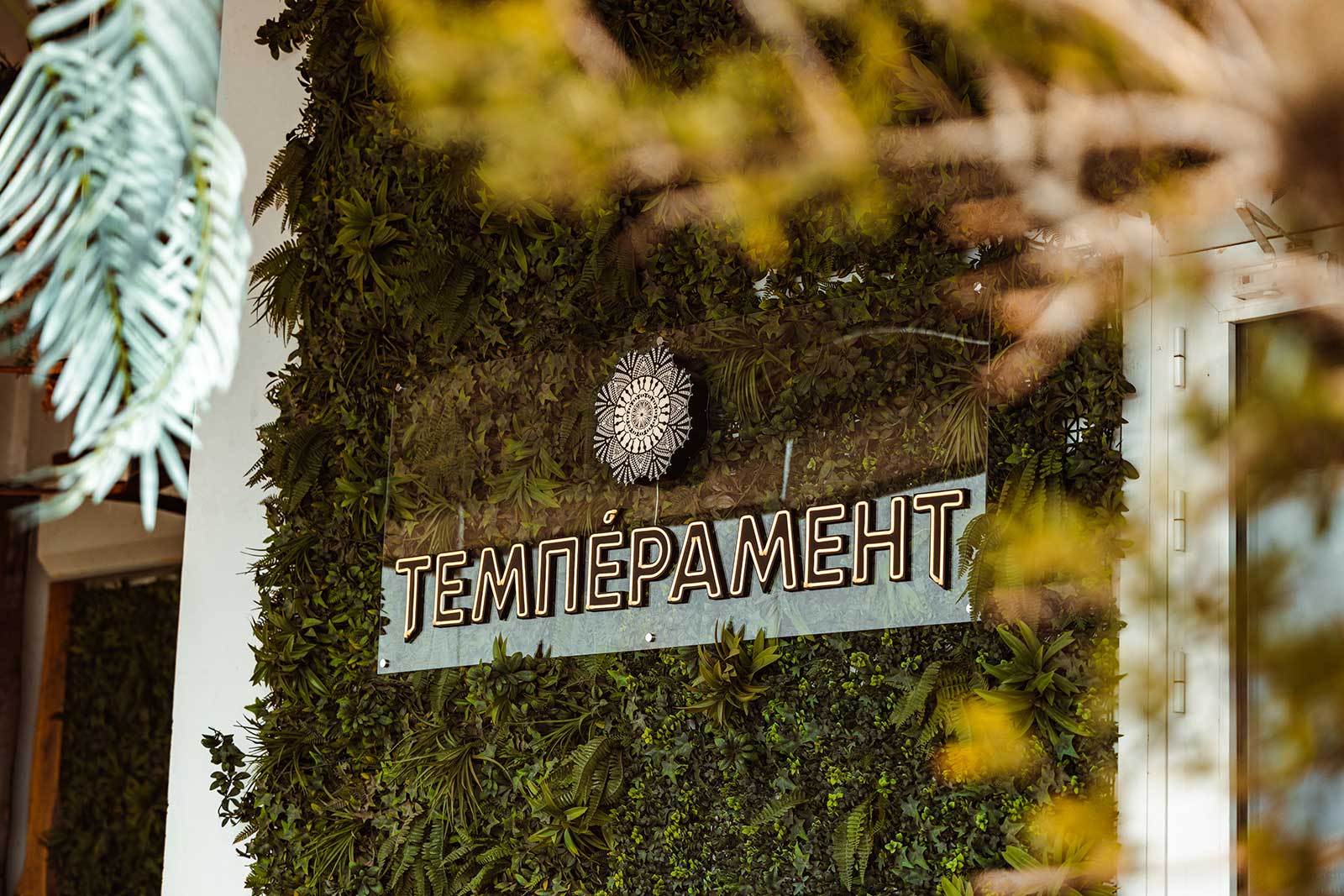 Temperament, Modern Serbian, Stari Grad, Belgrade